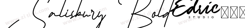 Salisbury Bold字体转换 Salisbury Bold字体转换